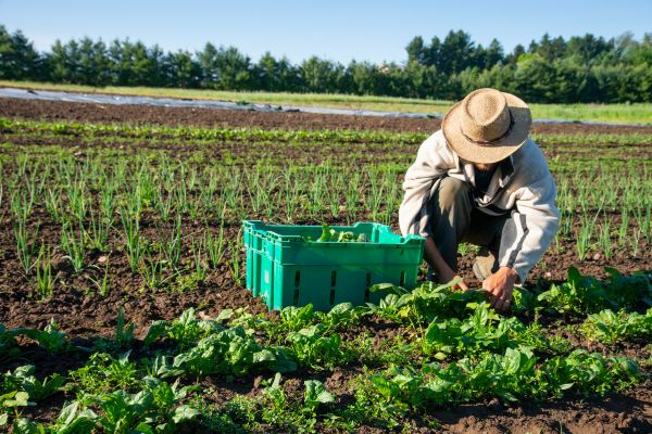 Équipement Agricole